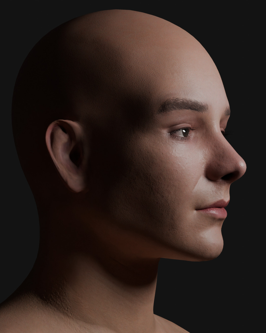 Mason Thames Hipo Low-poly 3D model_2