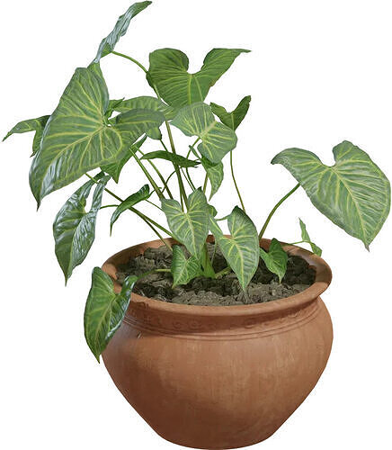 potted plant 3D model