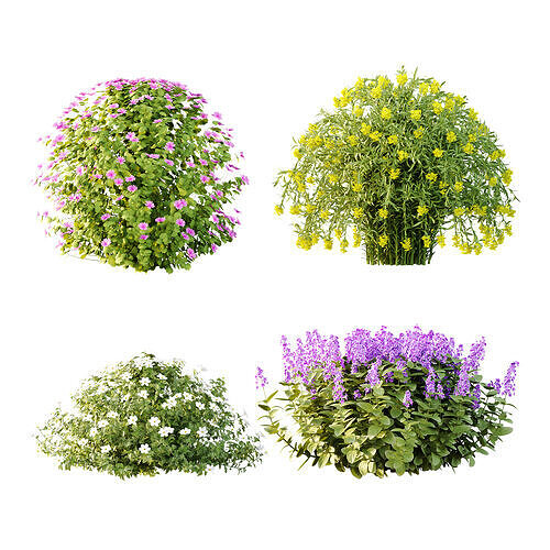 Different bush 10 3D model