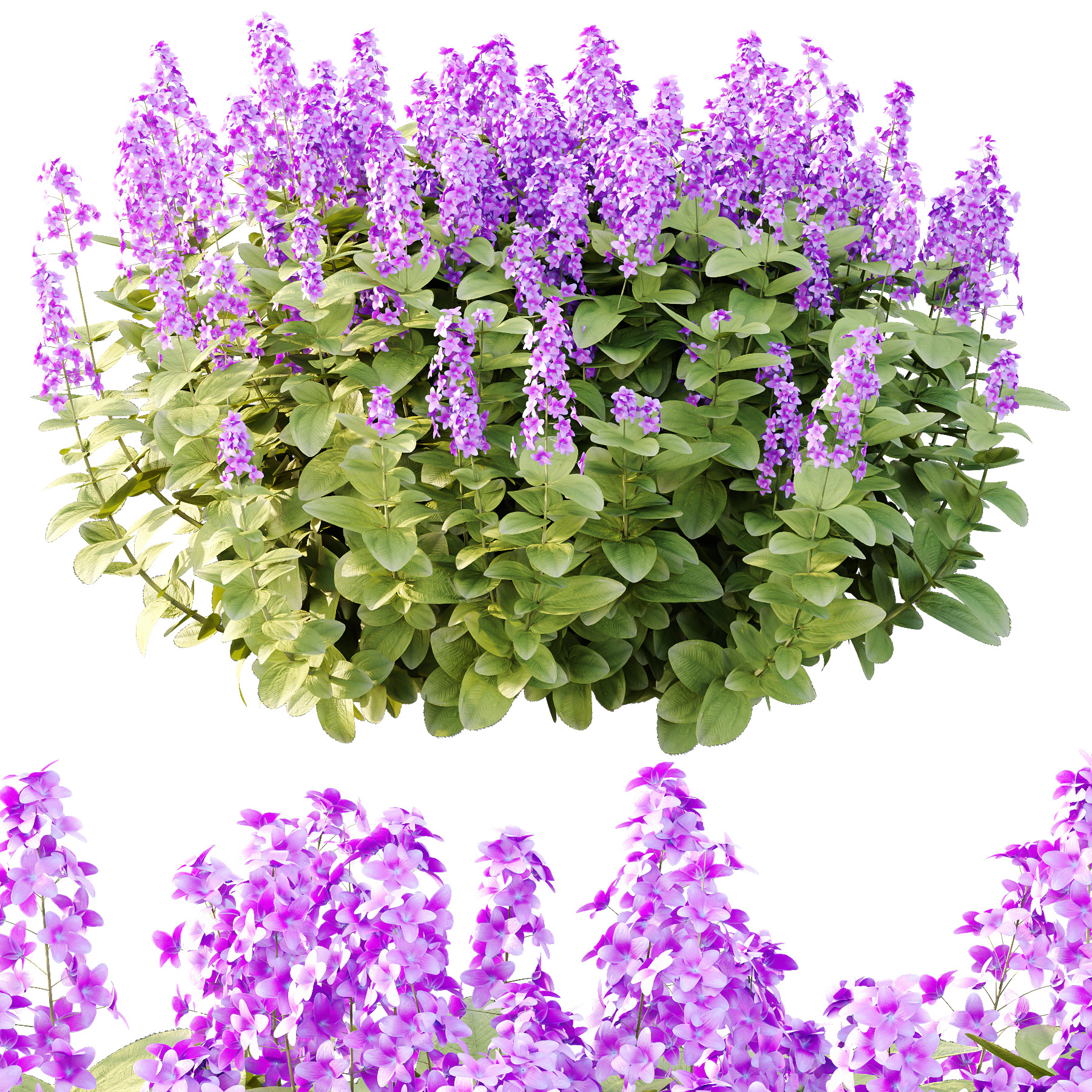 Different bush 10 3D model_2