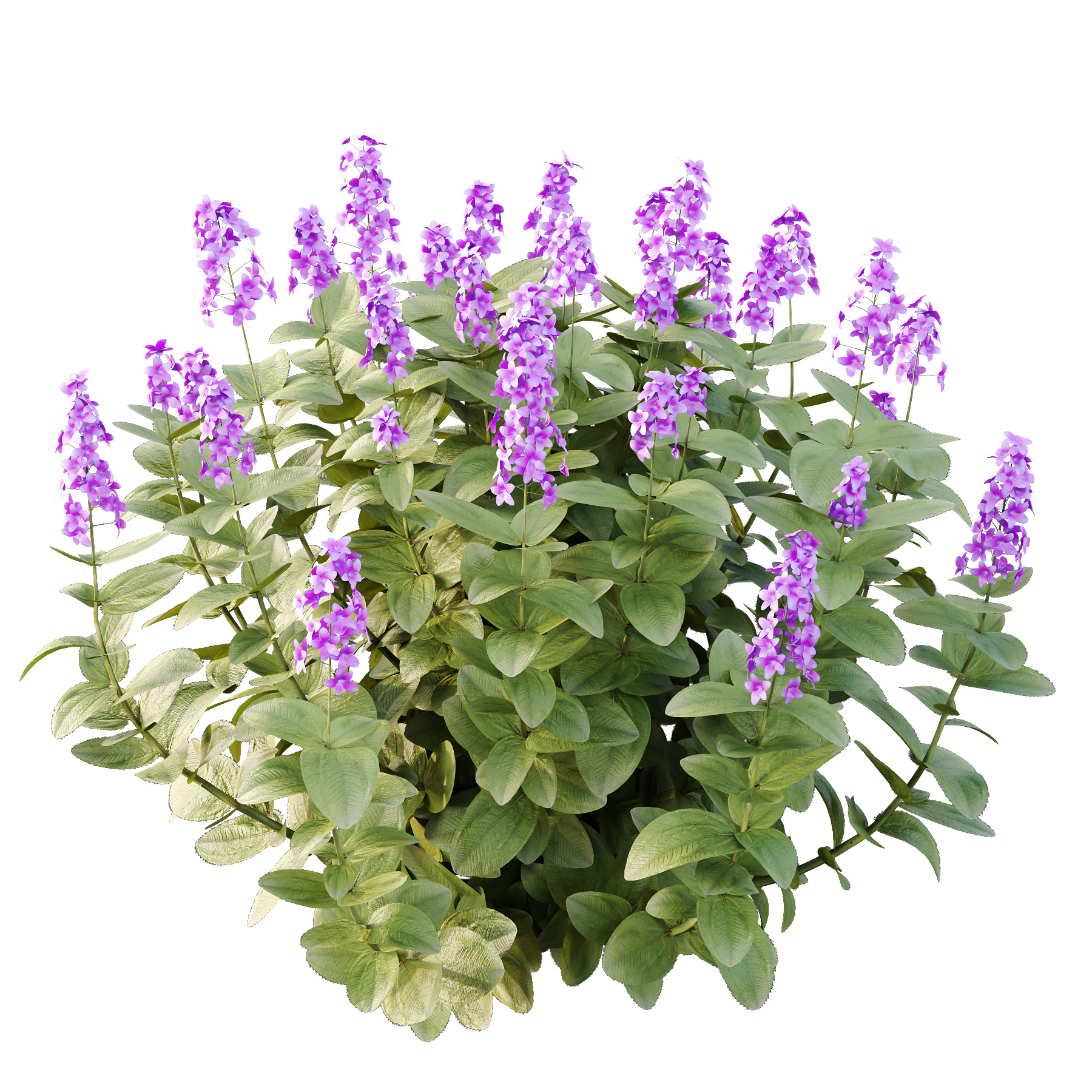 Different bush 15 3D model_1