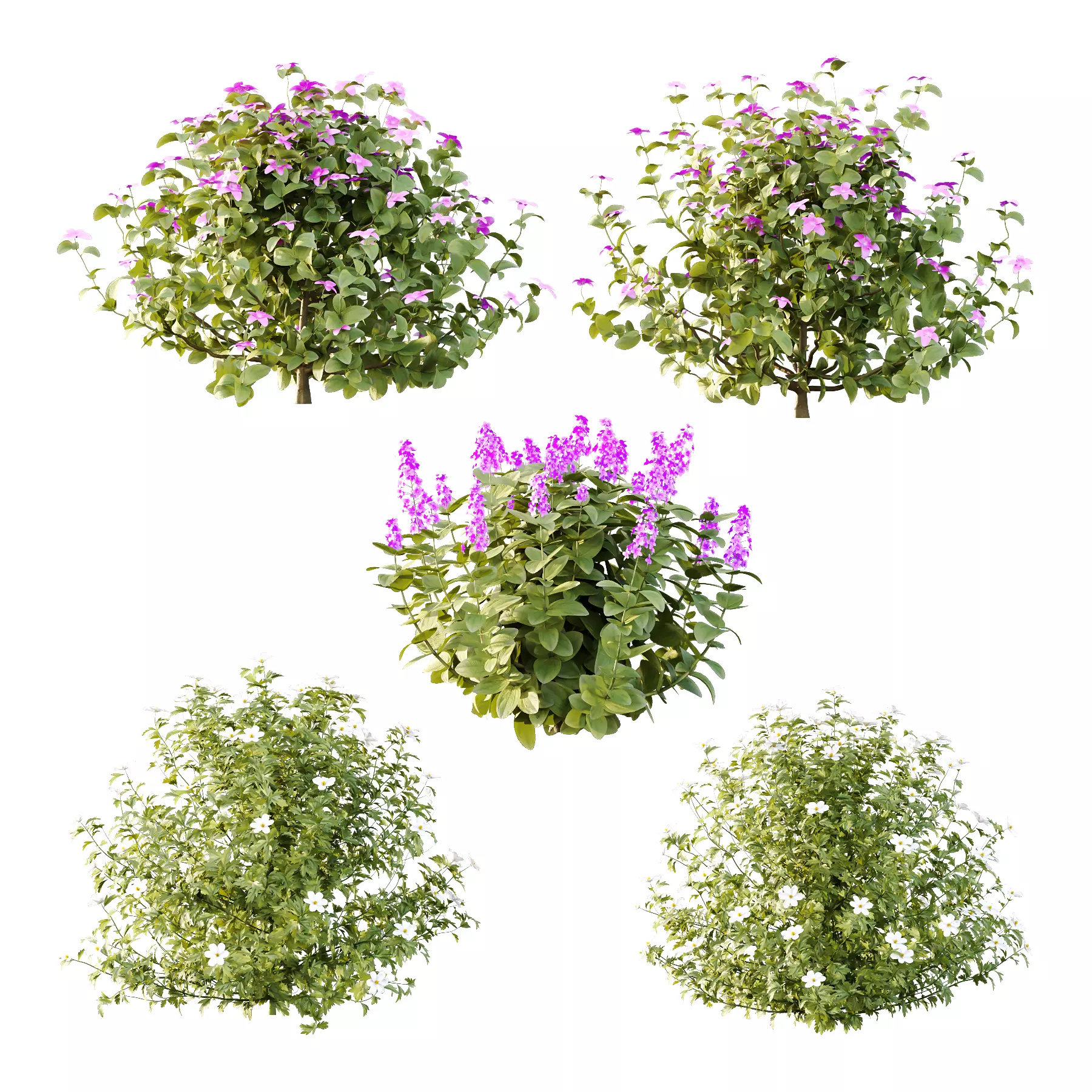 Different bush 15 3D model_0