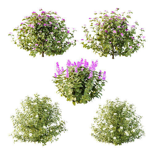 Different bush 15 3D model