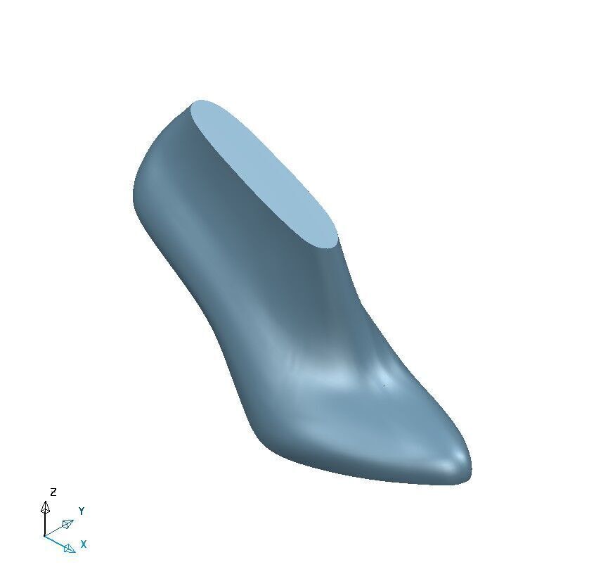 Shoe Last 3D print model_13