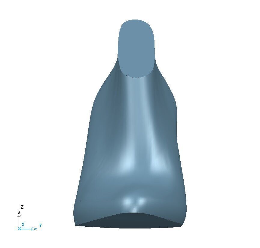 Shoe Last 3D print model_7