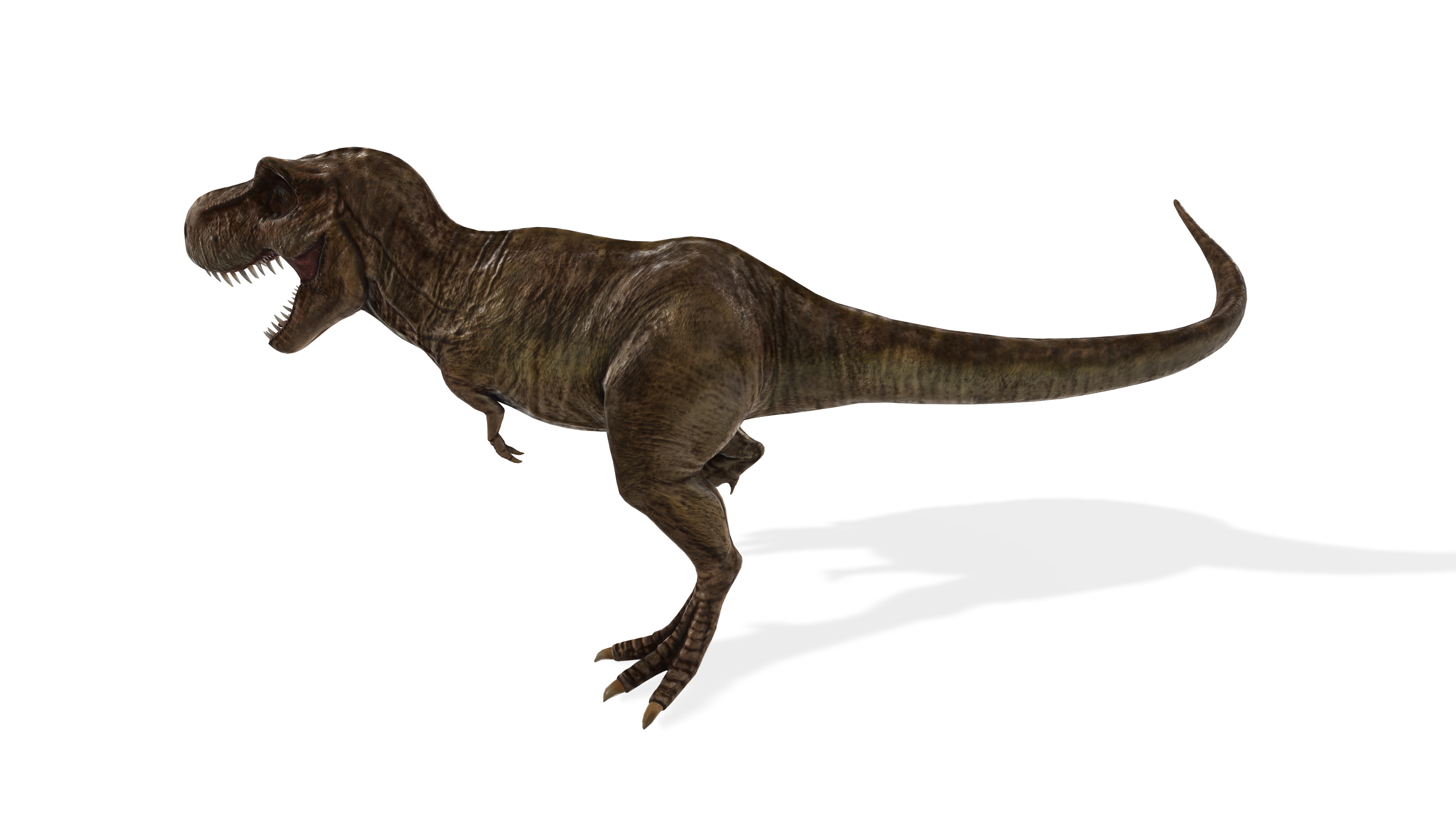 King Trex Highly Detailed Tyrannosaurus Rex 3D model_1
