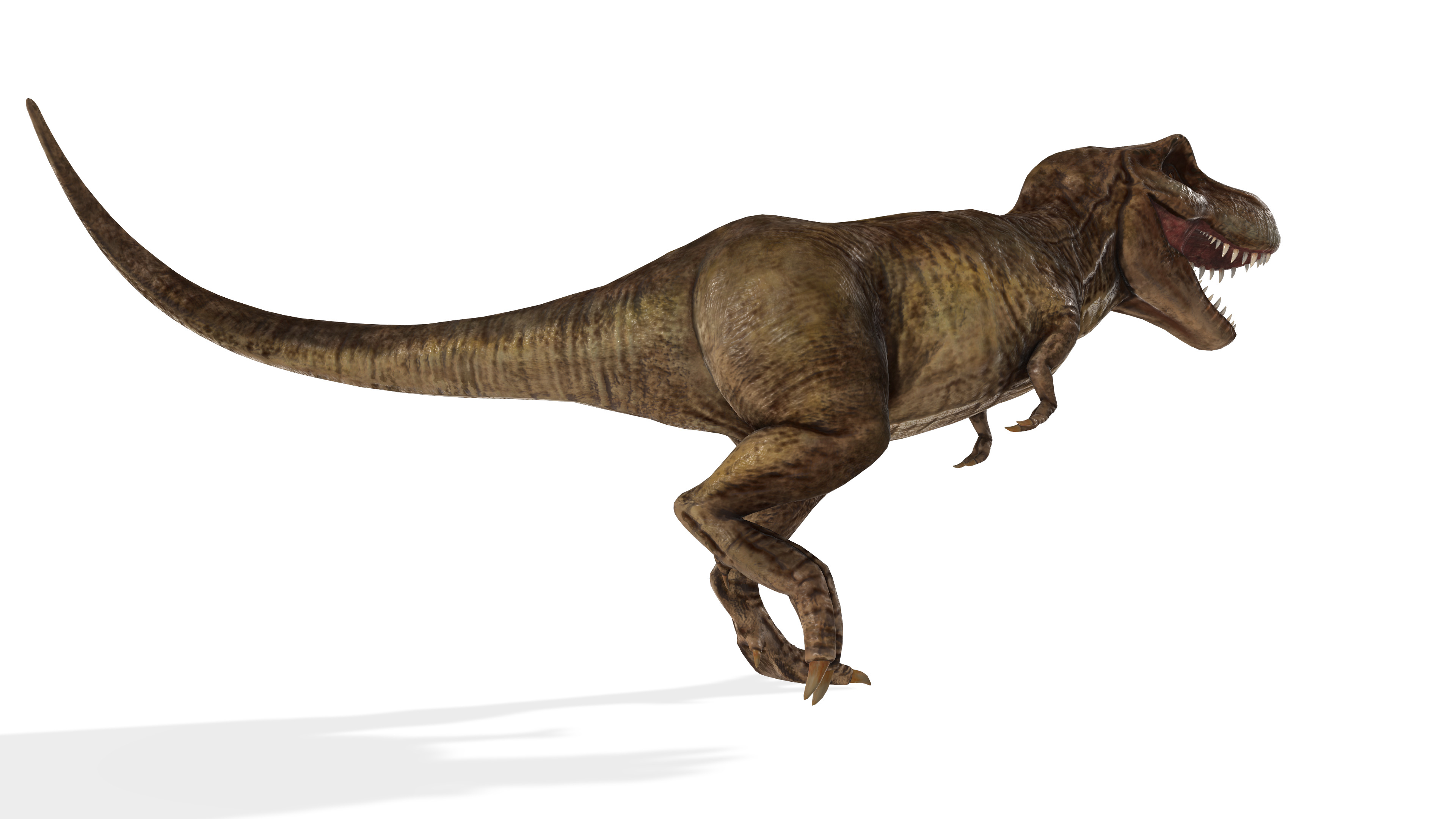 King Trex Highly Detailed Tyrannosaurus Rex 3D model_2