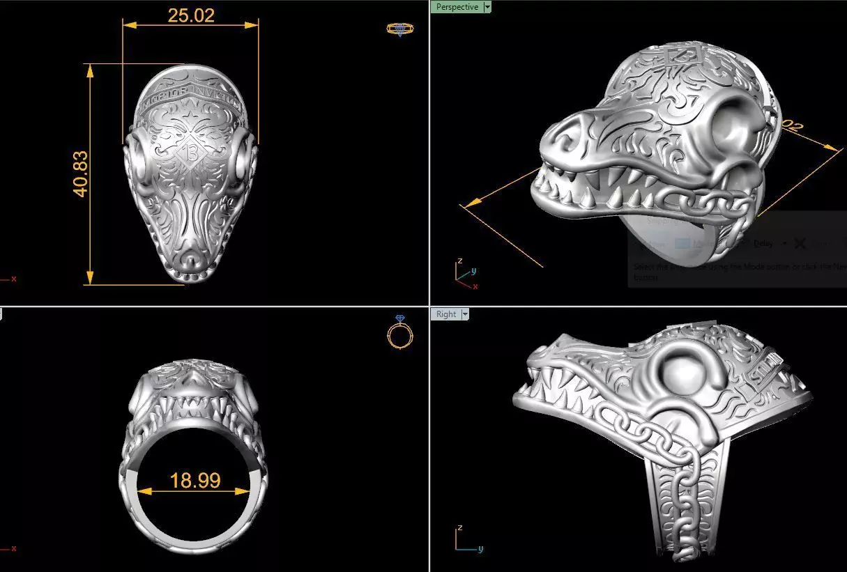 skull ring 3D print model_0