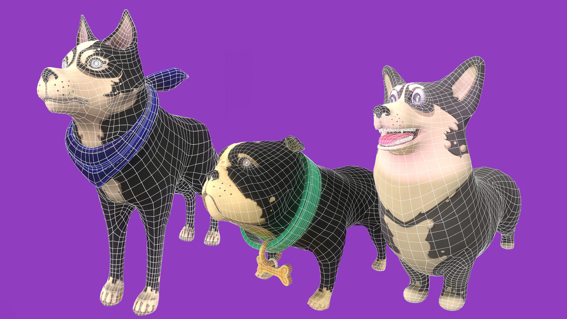 Stylized Grey Corgy Black Bulldog Black Husky 3D Model Collection_10