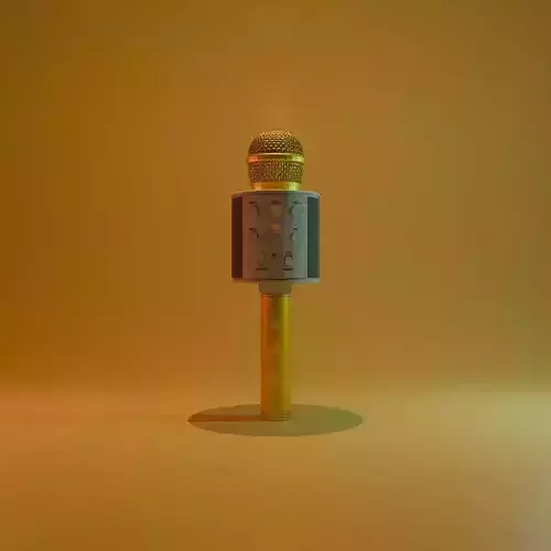 Karaoke Microphone WS-858