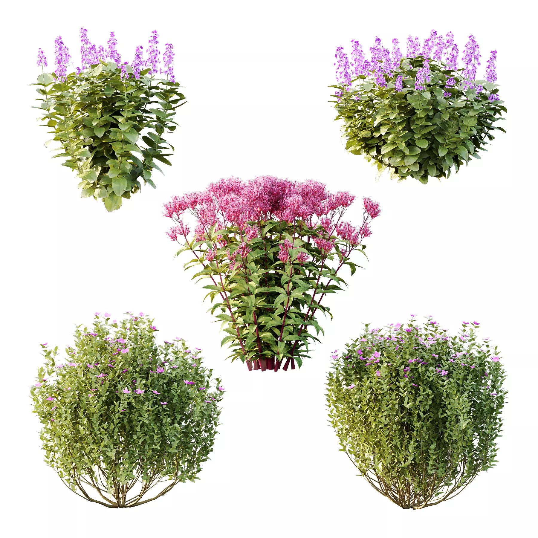 Different bush 13 3D model_0