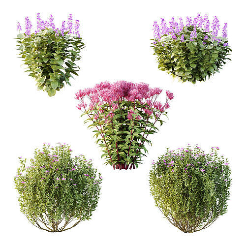 Different bush 13 3D model