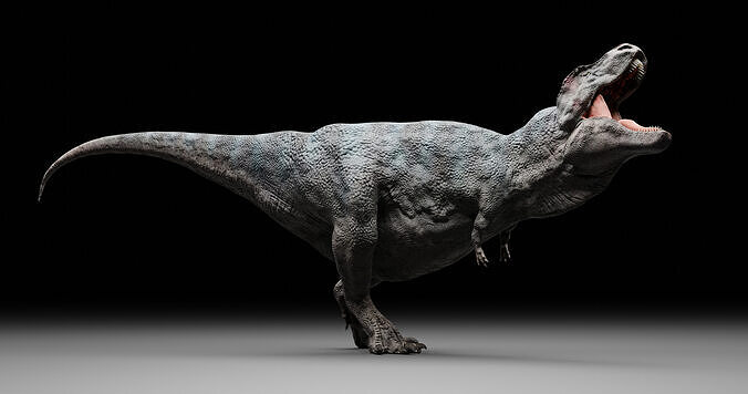 TRex Tyrannosaurus rex  Free 3D print model