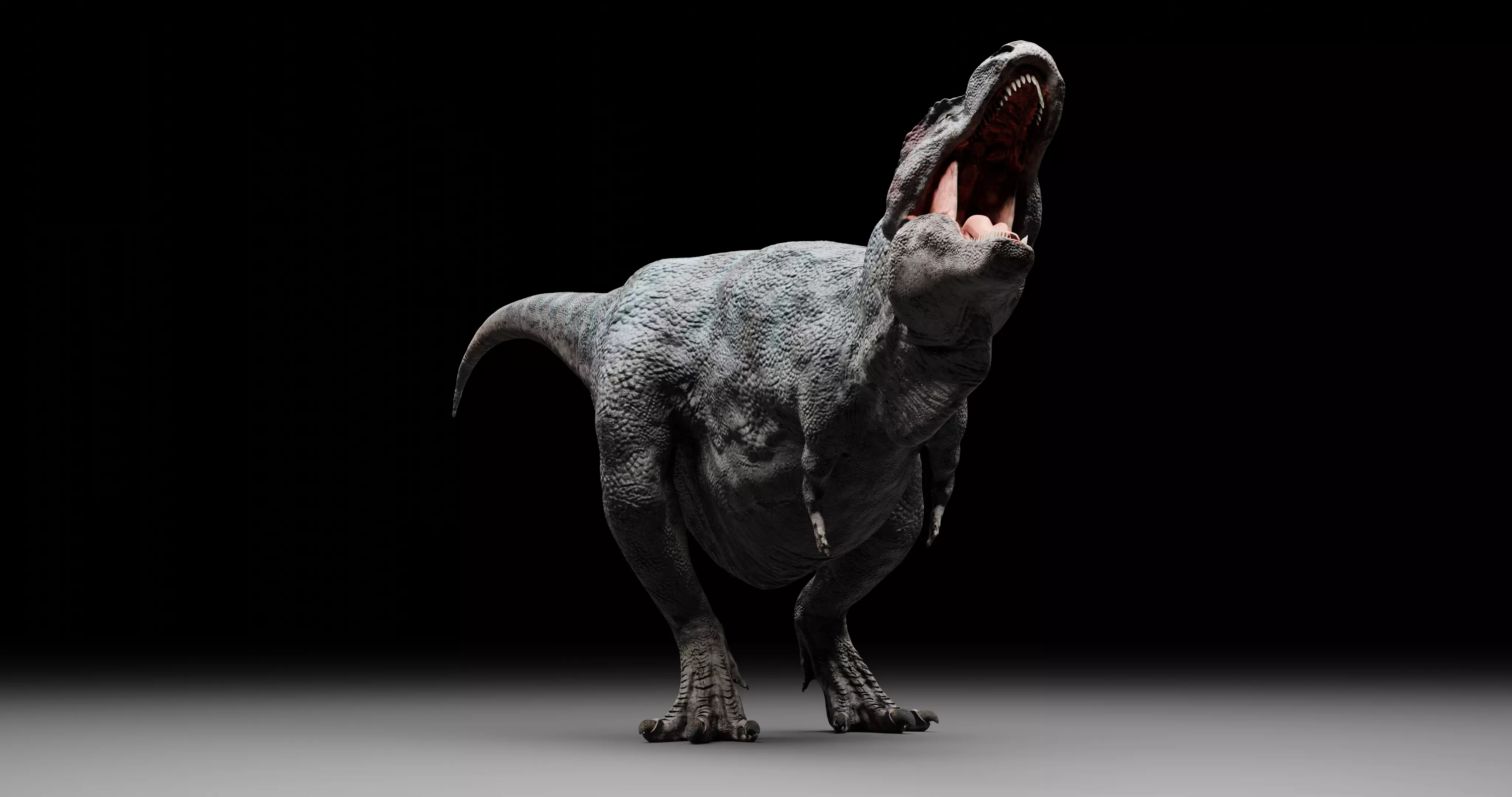 TRex Tyrannosaurus rex - 3d Model Low-poly 3D model_0