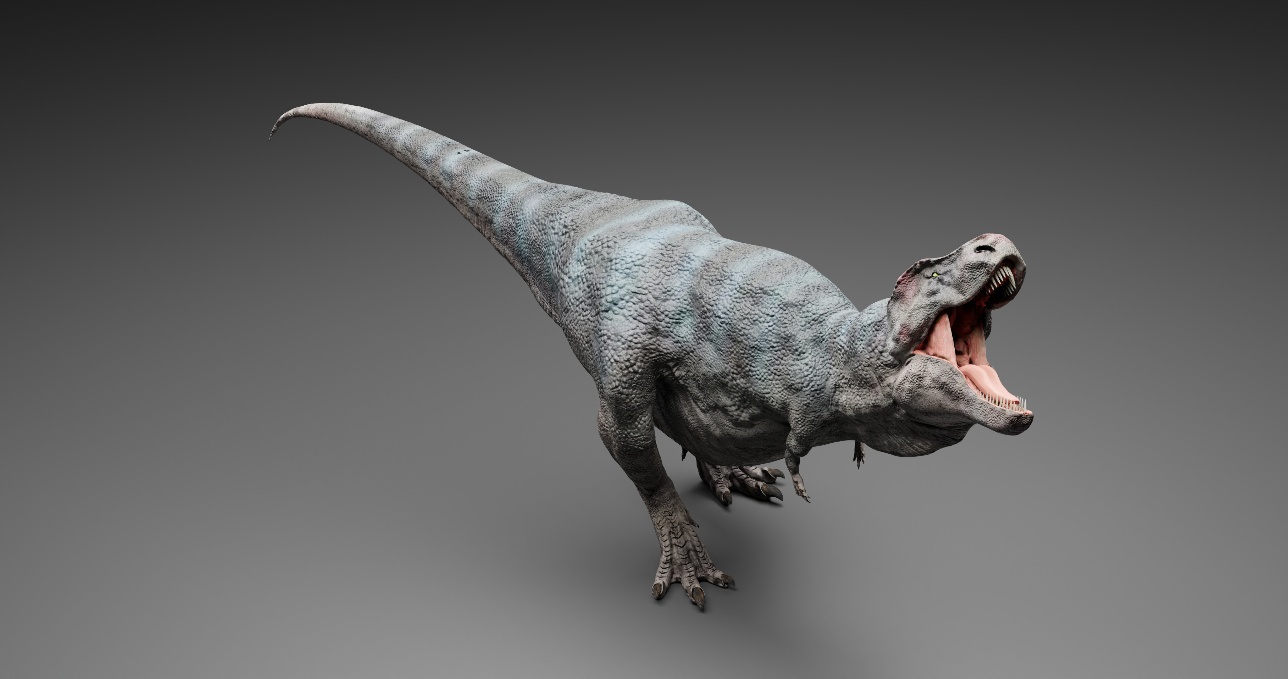 TRex Tyrannosaurus rex - 3d Model Low-poly 3D model_3