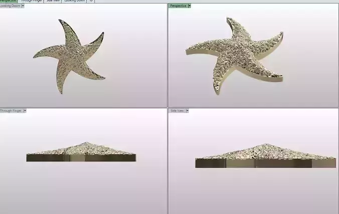 Starfish Pendant- earing