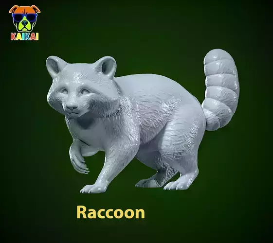 Raccoon species model - 3D print