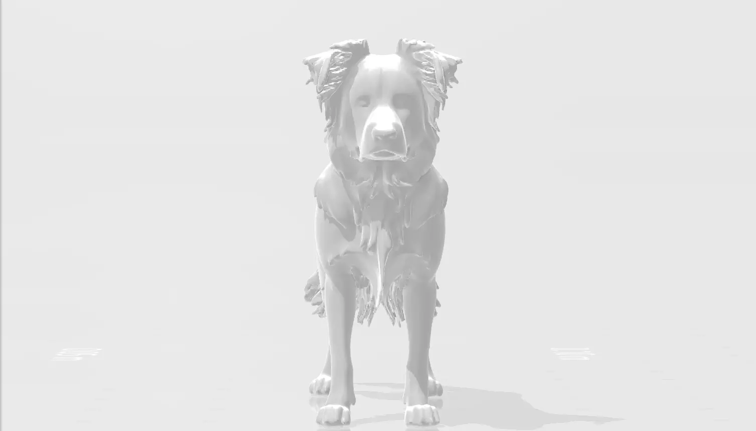 Dogs breed border collie 3D print model