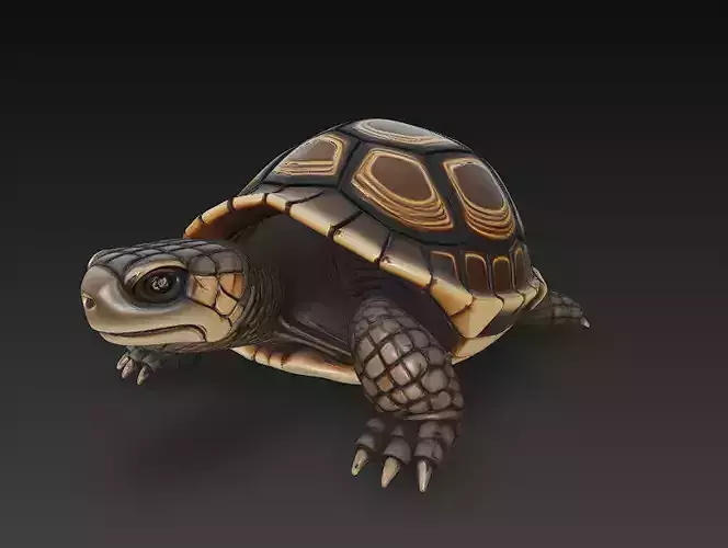 Turtle Realistic 3D Model - Low Poly Realistic