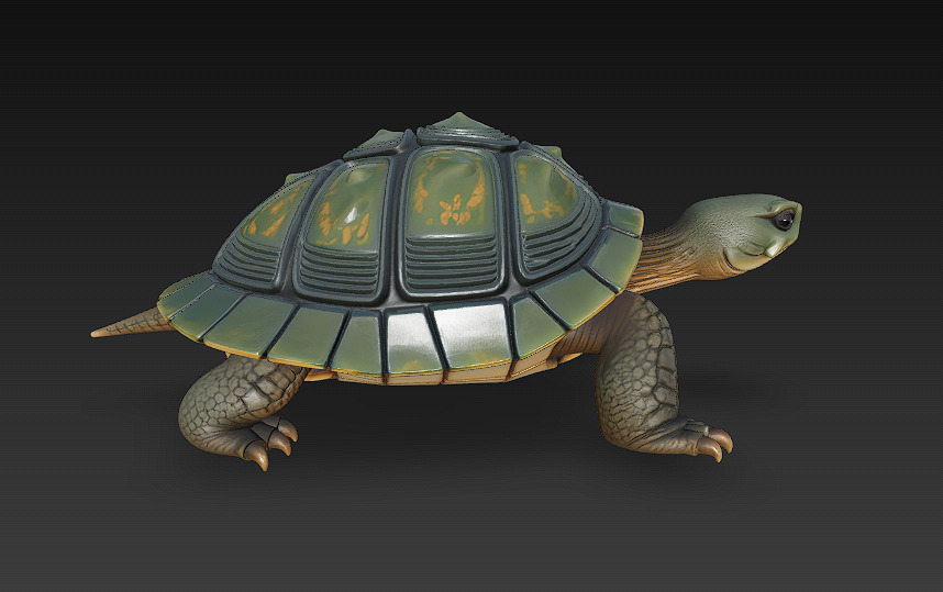 Turtle Realistic 3D Model - Low Poly Realistic Low-poly 3D model_2