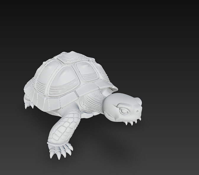 Turtle Realistic 3D Model - Low Poly Realistic Low-poly 3D model_9