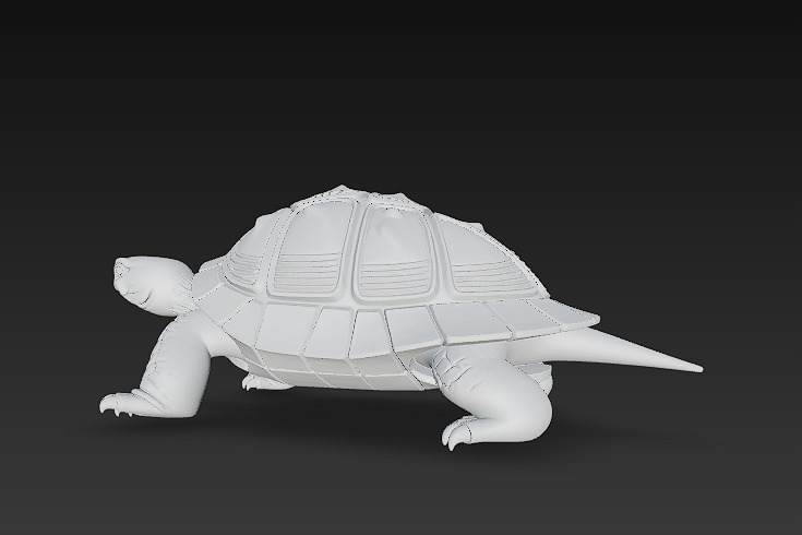 Turtle Realistic 3D Model - Low Poly Realistic Low-poly 3D model_11