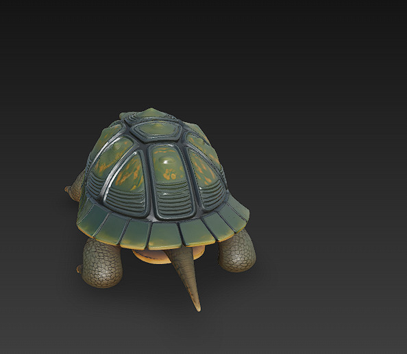 Turtle Realistic 3D Model - Low Poly Realistic Low-poly 3D model_4