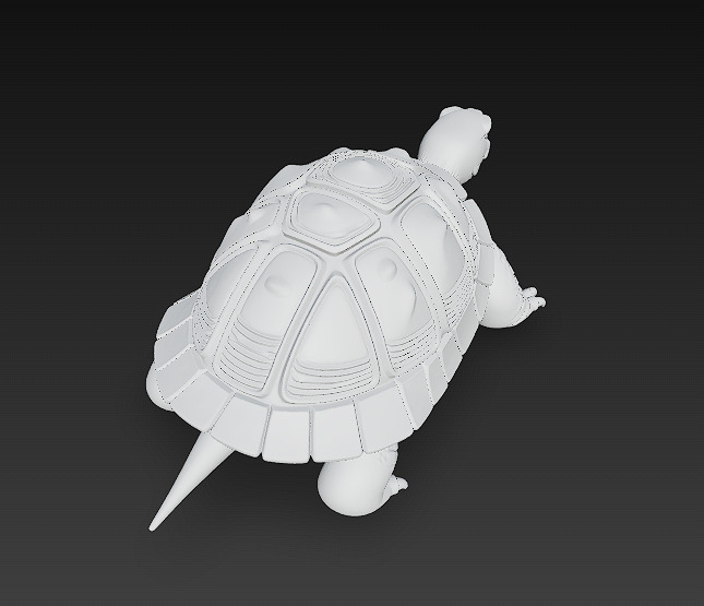 Turtle Realistic 3D Model - Low Poly Realistic Low-poly 3D model_12