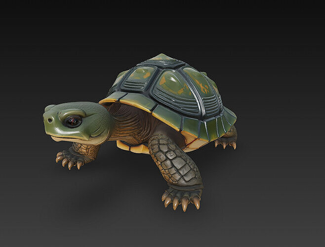 Turtle Realistic 3D Model - Low Poly Realistic Low-poly 3D model