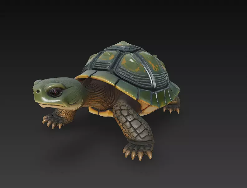 Turtle Realistic 3D Model - Low Poly Realistic Low-poly 3D model_0