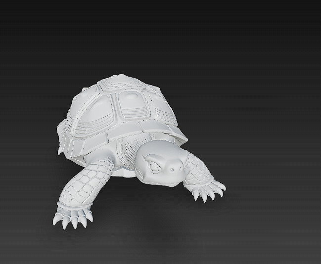 Turtle Realistic 3D Model - Low Poly Realistic Low-poly 3D model_14
