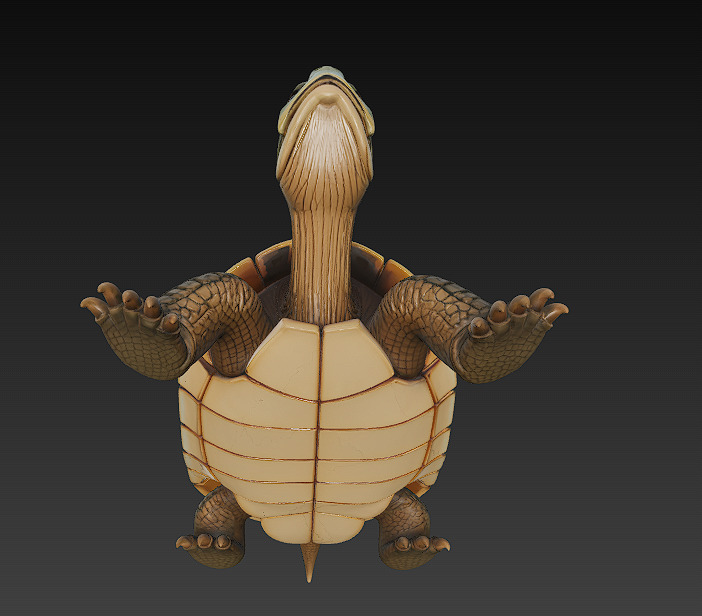 Turtle Realistic 3D Model - Low Poly Realistic Low-poly 3D model_8