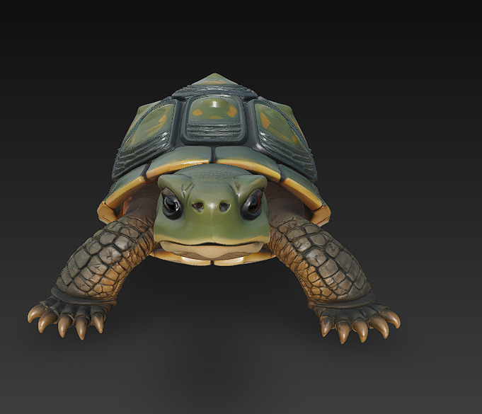 Turtle Realistic 3D Model - Low Poly Realistic Low-poly 3D model_6