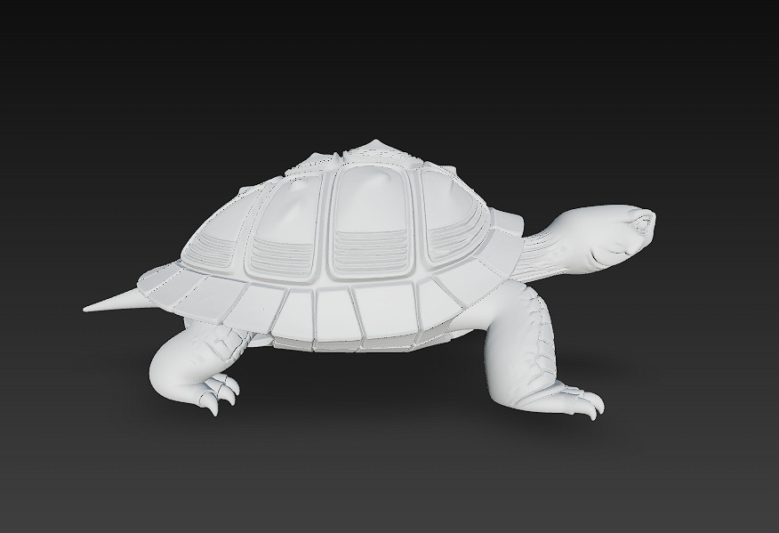 Turtle Realistic 3D Model - Low Poly Realistic Low-poly 3D model_13