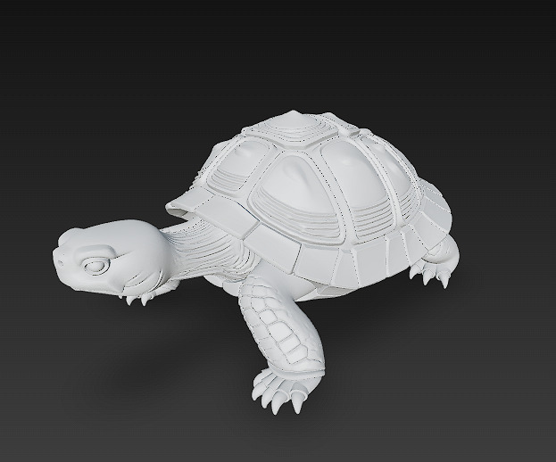 Turtle Realistic 3D Model - Low Poly Realistic Low-poly 3D model_10