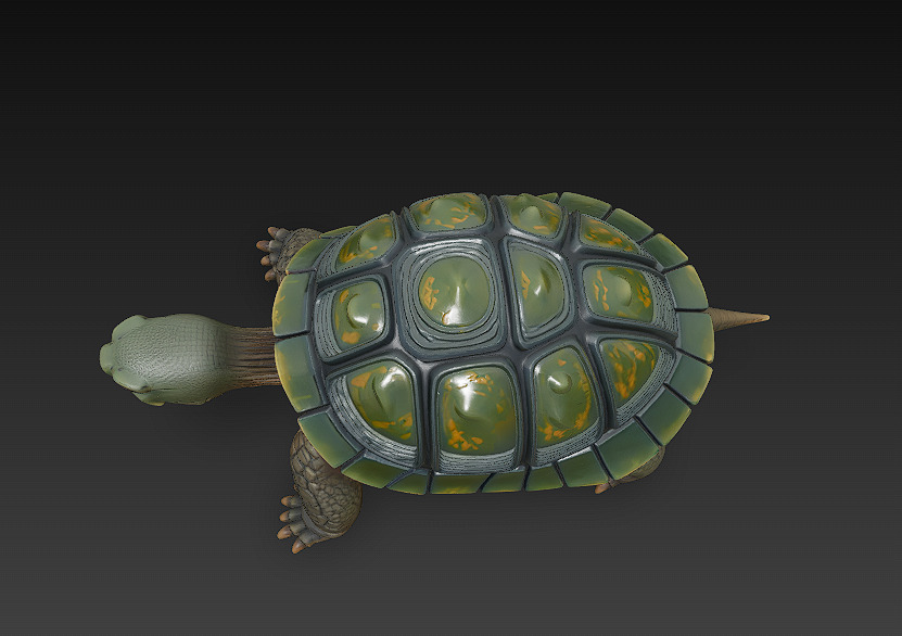 Turtle Realistic 3D Model - Low Poly Realistic Low-poly 3D model_7