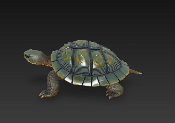 Turtle Realistic 3D Model - Low Poly Realistic Low-poly 3D model_5