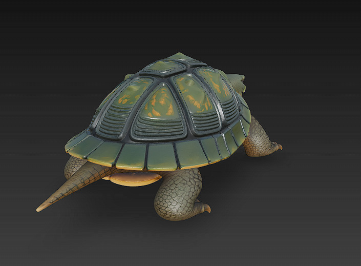 Turtle Realistic 3D Model - Low Poly Realistic Low-poly 3D model_3