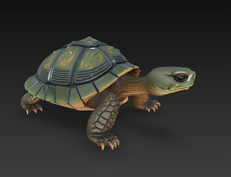 Turtle Realistic 3D Model - Low Poly Realistic Low-poly 3D model_1
