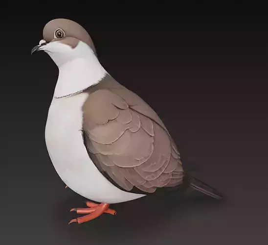 Dove Realistic 3D Model Basic - Low Poly Realistic 