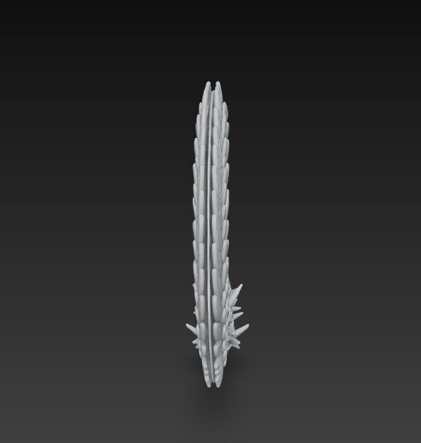 Crescent of Duality 3D model_3