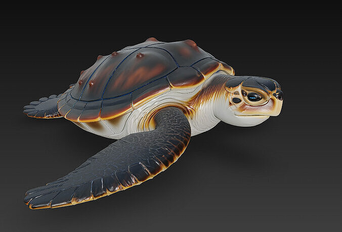 Sea Turtle Realistic 3D Model - Low Poly Realistic Low-poly 3D model