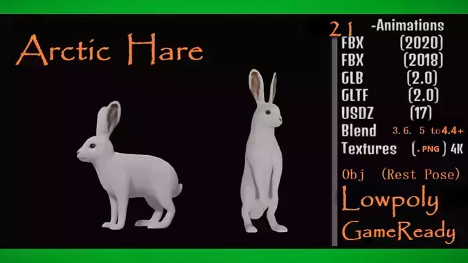 Arctic Hare Low-poly 3D model