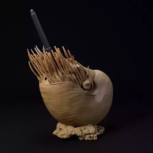 Nautilus pen holder pre-supported 3D print model