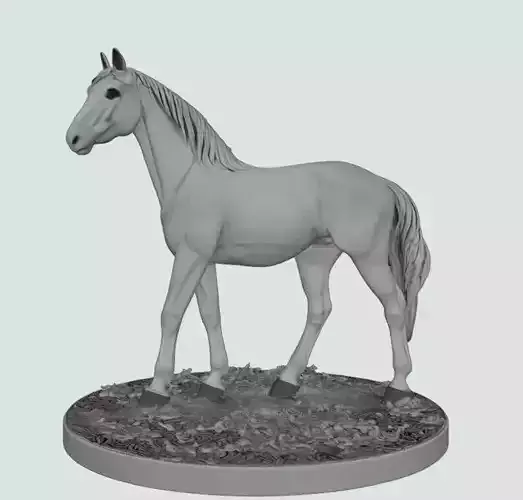 Majestic White Horse