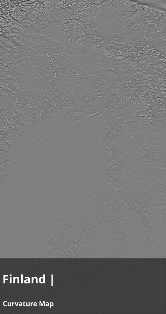 Finland Occlusion Thickness Cavity Curvature Direct 9k Maps Texture_11