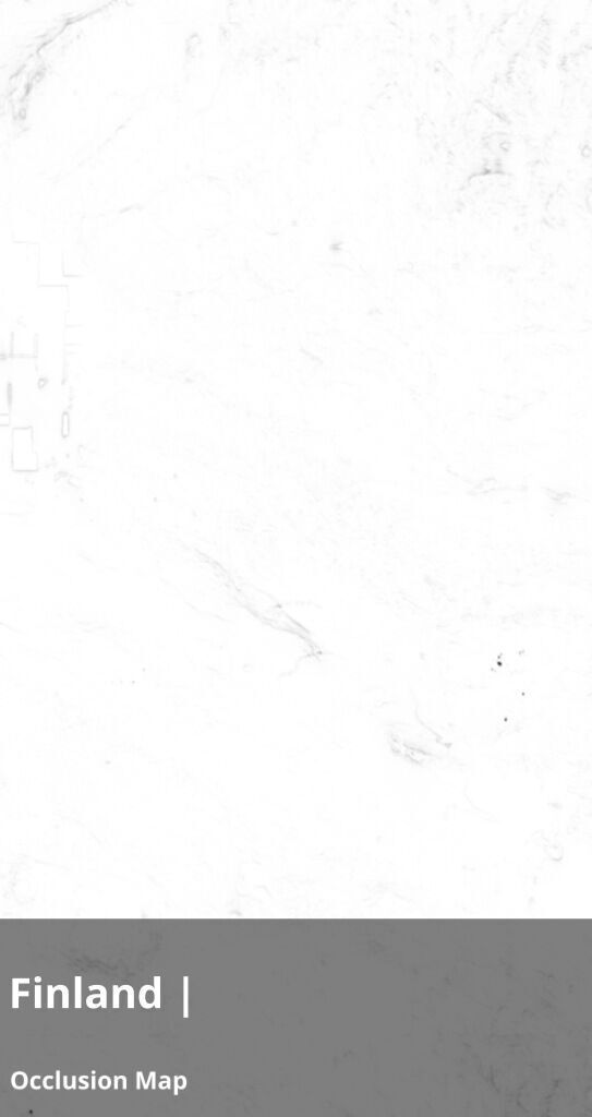 Finland Occlusion Thickness Cavity Curvature Direct 9k Maps Texture_22