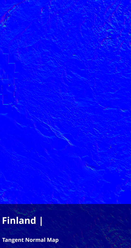 Finland Occlusion Thickness Cavity Curvature Direct 9k Maps Texture_19