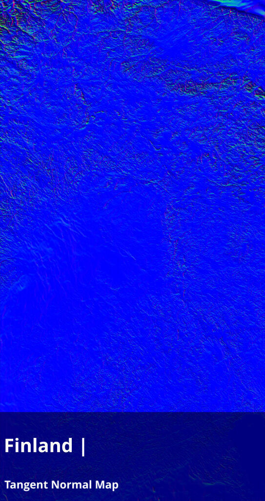 Finland Occlusion Thickness Cavity Curvature Direct 9k Maps Texture_18