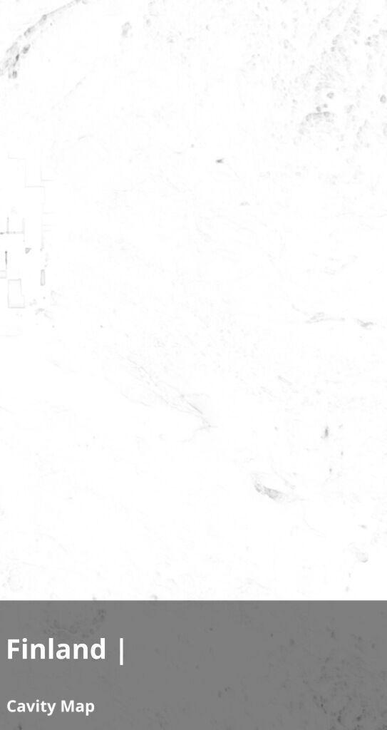 Finland Occlusion Thickness Cavity Curvature Direct 9k Maps Texture_3